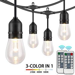 48FT Dimmable LED Outdoor String Lights for Patio with Remotes, Waterproof LED Edison Bulb Strin ...