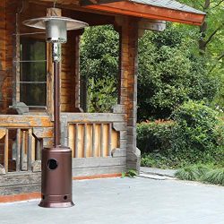 FDW Bronze Garden Outdoor Patio Heater Propane Standing LP Gas Steel w/accessorie